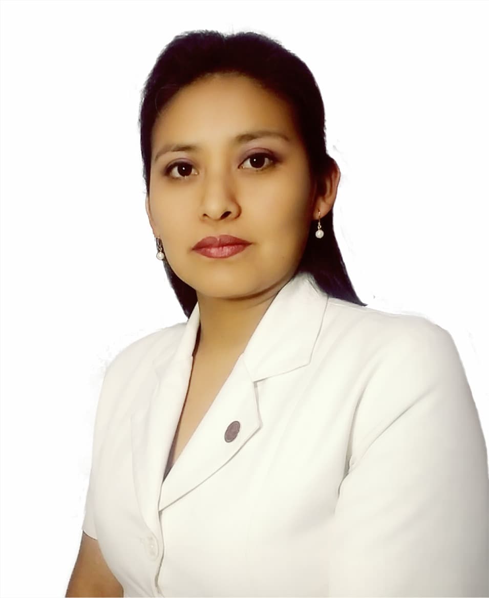 Ludesmi Vilca Alarcon